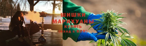 спиды Ладушкин