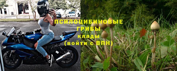 спиды Ладушкин