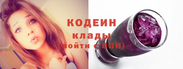 спиды Ладушкин