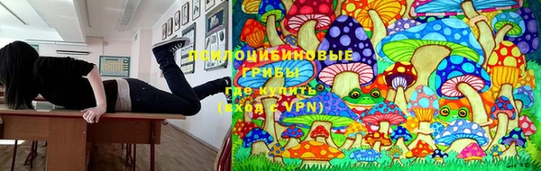 спиды Ладушкин