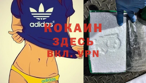 соль ск Лагань