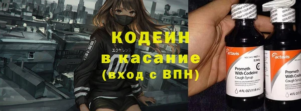 спиды Ладушкин