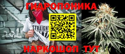 прущий лед Бийск