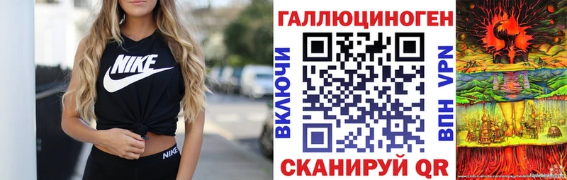 Псилоцибиновые грибы Psilocybe  Новокузнецк 