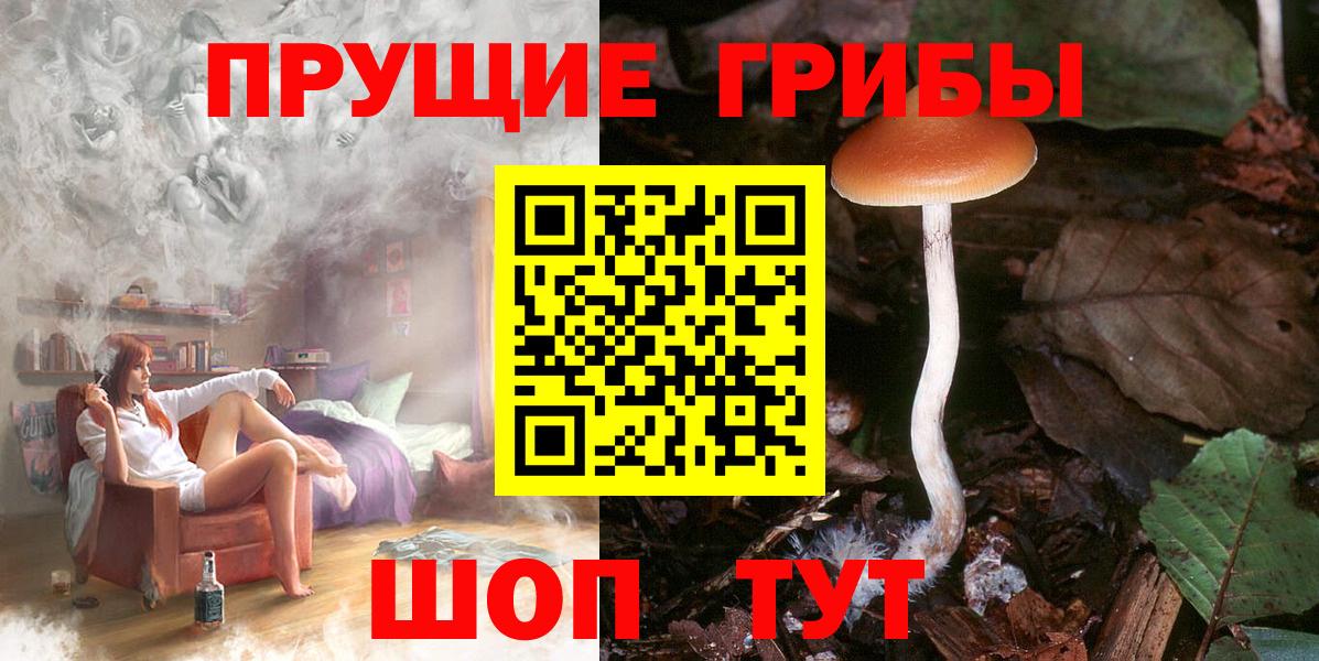 закладки  Вход с VPN  Новокузнецк  Псилоцибиновые грибы мухоморы 