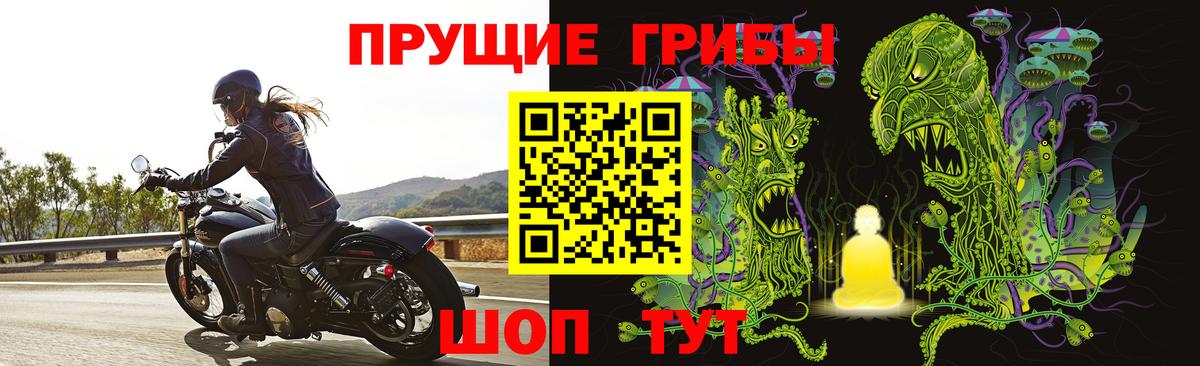 Галлюциногенные грибы Psilocybine cubensis Новокузнецк