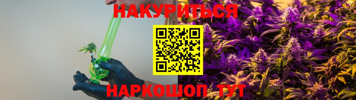Бошки марихуана Bruce Banner  Конопля семена  МАРИХУАНА VHQ  Новокузнецк 